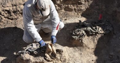 Iraq starts mass grave excavation from ISIL (ISIS) carnage south of Mosul