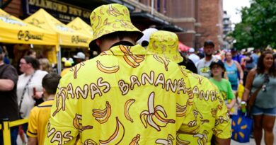 Is Google behind a mysterious new AI image generator? These bananas might confirm it.