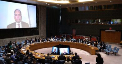 Israel's Gaza plan risks 'another calamity': UN official