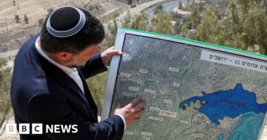 Israeli settlement plans will 'bury' idea of Palestinian state, minister says