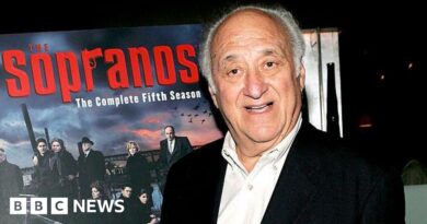 Jerry Adler, who starred in The Sopranos, dies aged 96