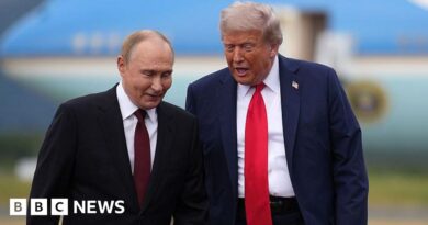 Kremlin plays down Zelensky talks as Trump warns Putin may not want to make deal