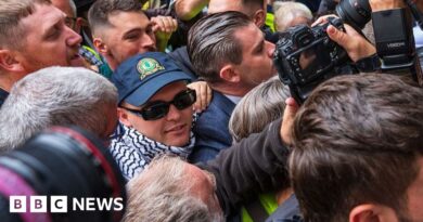 Liam Óg Ó hAnnaidh: Kneecap rapper bailed on terror charge