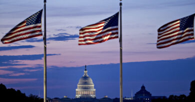 The U.S. Capitol building stands past American flags before sunrise in Washington