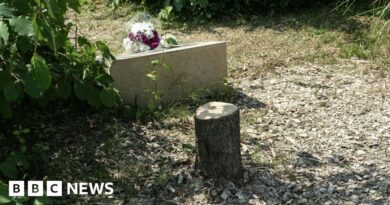 Macron vows justice after tree memorial for murdered Jew cut down