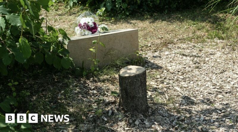 Macron vows justice after tree memorial for murdered Jew cut down