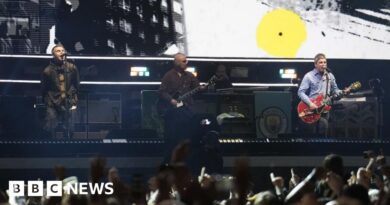 Man dies after fall at Oasis Wembley concert 