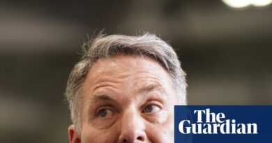 Marles insists Australia ‘not supplying weapons to Israel’ but critics argue ‘parts of weapons are weapons’