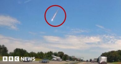 Meteorite that hit home is older than Earth, scientists say