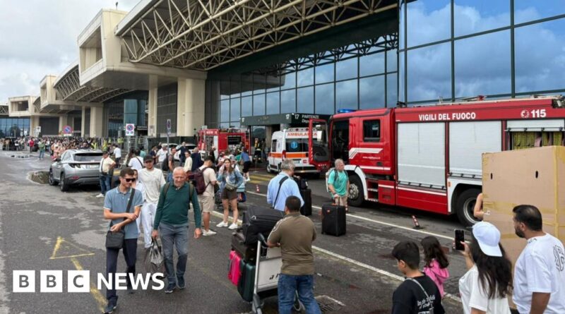 Milan Malpensa airport: Man starts fire and smashes screens with hammer