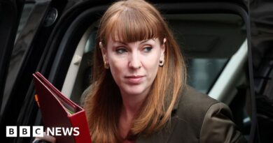 Ministers didn't do cost review of English council mergers