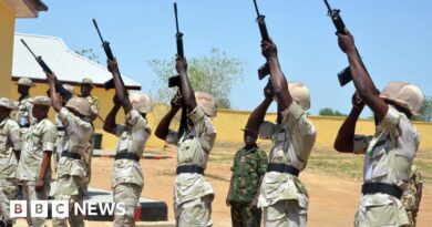 More than 30 jihadists killed in air strikes, Nigerian military says