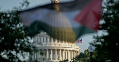Most Americans support international recognition of Palestine: Poll