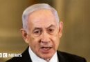 Netanyahu divides Israelis and allies with plan to take over Gaza