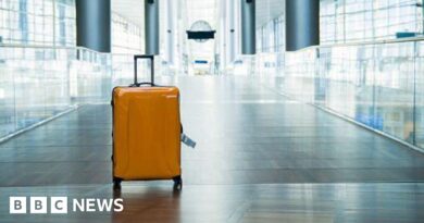 New Zealand woman arrested after two-year-old found in luggage 
