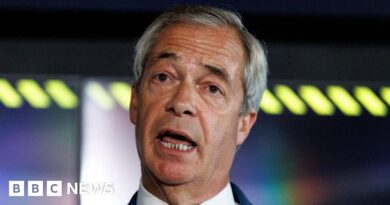 Nigel Farage urges PM to appoint Reform peers to House of Lords