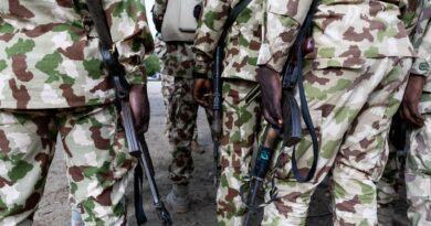 Nigeria says it killed 35 fighters in air strikes near border with Cameroon
