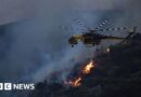 One dead as wildfires rage in southern Greece
