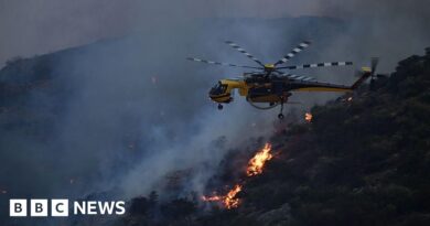 One dead as wildfires rage in southern Greece