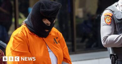 Peruvian woman arrested in Bali for smuggling drugs in sex toy