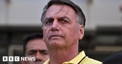 Police accuse Jair Bolsonaro and son of obstruction of justice