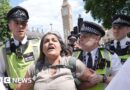 Police make arrests at Palestine Action ban protests