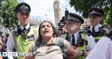 Police make arrests at Palestine Action ban protests