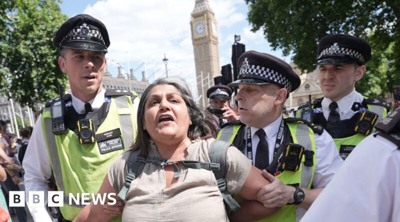 Police make arrests at Palestine Action ban protests
