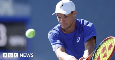 Polish tennis star meets fan after US Open hat snatching viral video