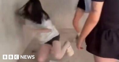 Protests in China over viral school bullying case