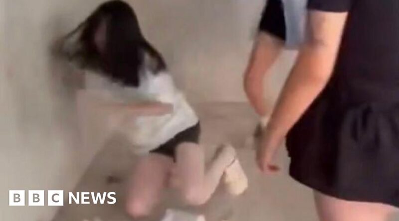 Protests in China over viral school bullying case