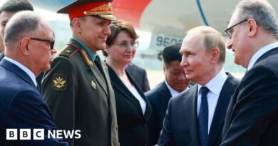 Putin and Modi in China for summit overshadowed by trade wars with US