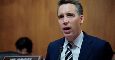 Sen. Hawley to probe Meta after report finds its AI chatbots flirt with kids | TechCrunch