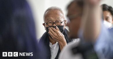 Singapore: Tycoon Ong Beng Seng pleads guilty in corruption case