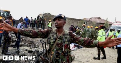 Six dead in Nairobi medical small plane crash, official says