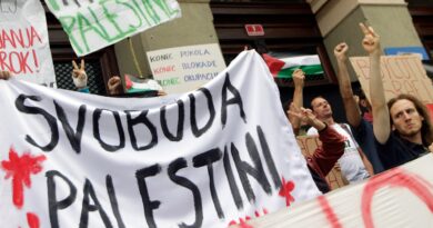 Slovenia becomes first EU country to impose arms embargo on Israel