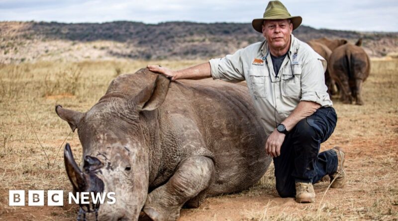 South African rhino horns turned radioactive to fight poachers