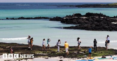 South Korean police tell tourists on holiday island Jeju to behave