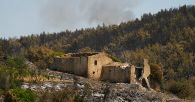 Southern Europe battling worst wildfires in decades amid huge blazes