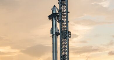 SpaceX notches major wins during tenth Starship test | TechCrunch