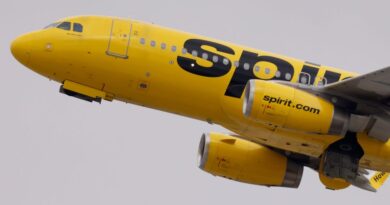 Spirit just filed for bankruptcy .... again