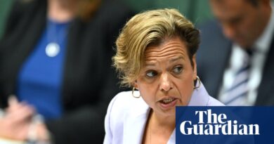 States and territories agree to ‘long overdue’ reforms to working with children checks by year’s end, attorney general says