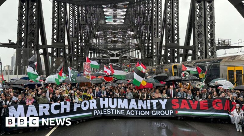 Sydney Harbour Bridge: Tens of thousands turn out for pro-Palestine march