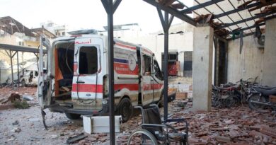 Syria: Violence in Alawite areas may be war crimes, say rights investigators