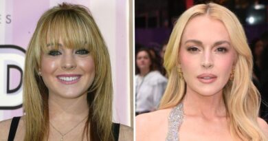 THEN AND NOW: The cast of 'Freaky Friday' 22 years later