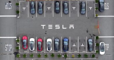 TechCrunch Mobility: Tesla's ride-hailing gambit | TechCrunch