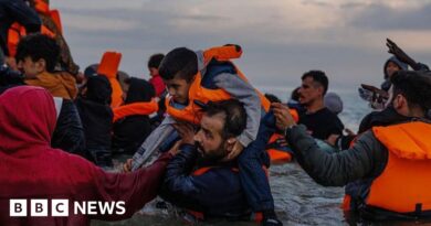 Thousands of small boat arrivals since new migrant deal with France