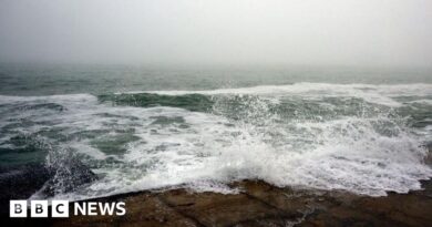 Three swimmers killed by sea mines in Odesa, Ukrainian media report
