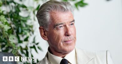 Thursday Murder Club: Pierce Brosnan felt 'huge responsibility' towards fans of the book