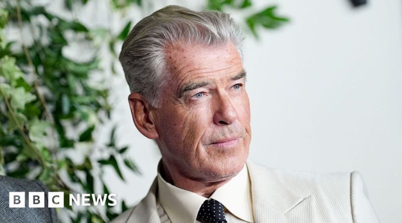 Thursday Murder Club: Pierce Brosnan felt 'huge responsibility' towards fans of the book
